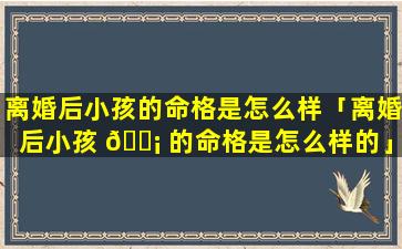 离婚后小孩的命格是怎么样「离婚后小孩 🐡 的命格是怎么样的」